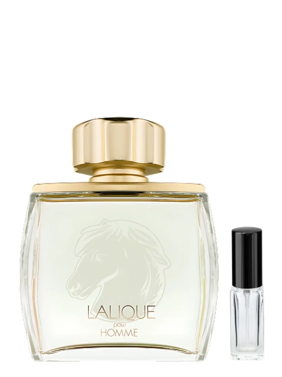 Lalique Pour Homme Equus - odlewka eleganckich perfum dostępna w Perfame. Drzewny zapach z nutami przypraw, cytrusów i wetiweru.